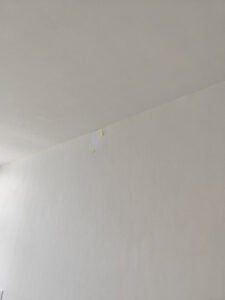 IMG_20250609_111654_450x600