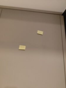 IMG_20250525_195059_450x600