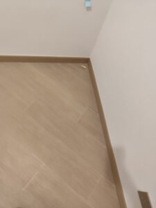 IMG_20250525_195306_450x600